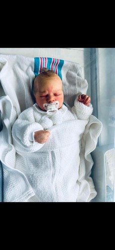 Reborn baby boy louis - reborn,