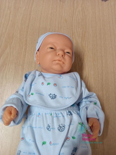 Reborn baby doll - baby, hedgehog