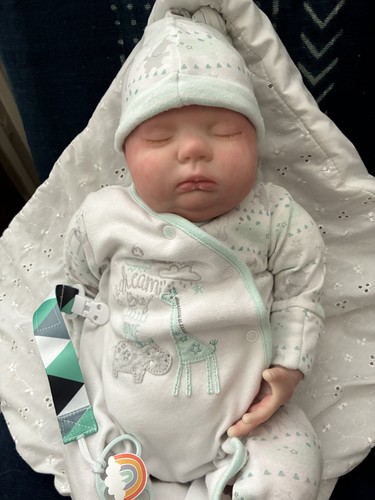 Realistic reborn baby doll - reborn,